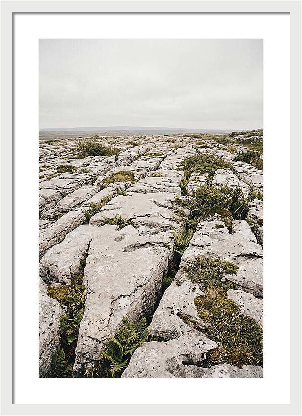 Limestone Landscapes Of The Burren