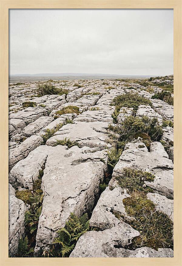 Limestone Landscapes Of The Burren
