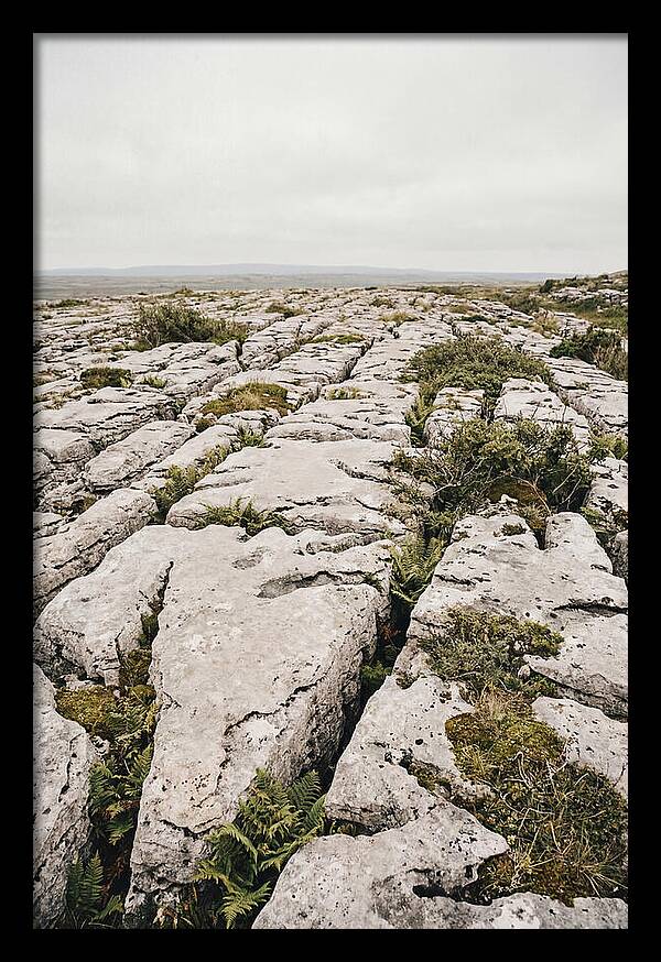Limestone Landscapes Of The Burren