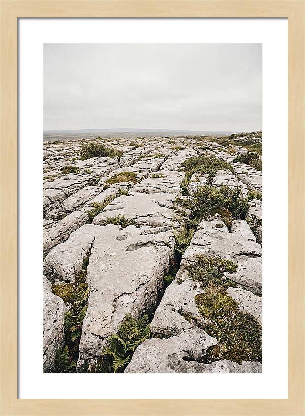 Limestone Landscapes Of The Burren