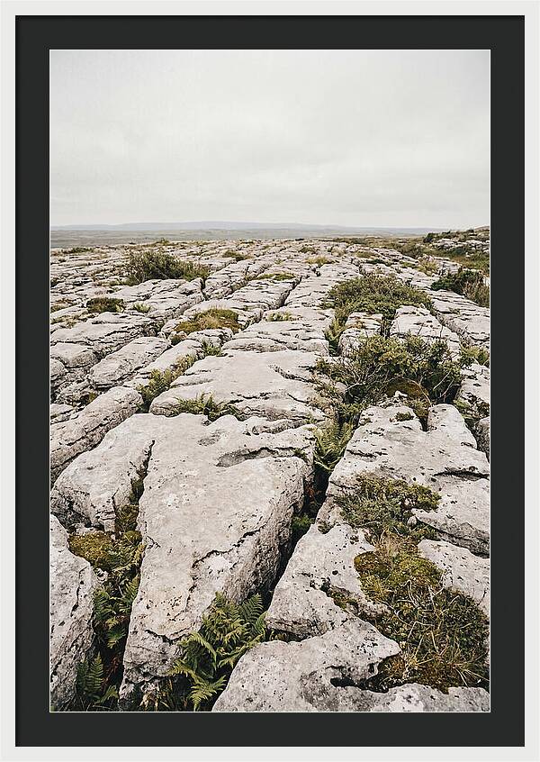 Limestone Landscapes Of The Burren