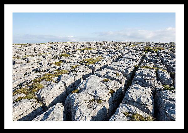 Limestone Pavement Landscape