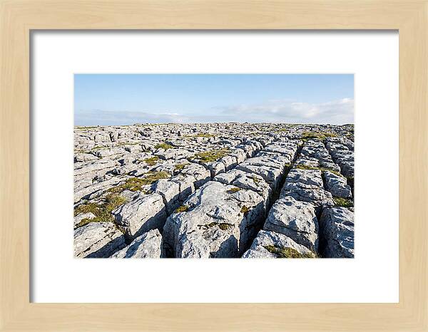 Limestone Pavement Landscape