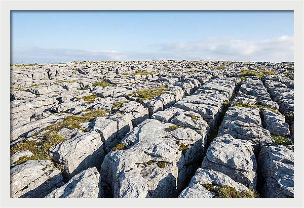 Limestone Pavement Landscape