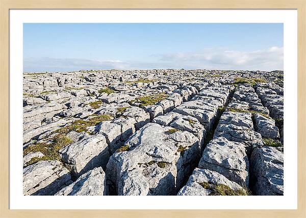 Limestone Pavement Landscape