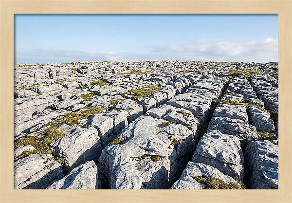Limestone Pavement Landscape