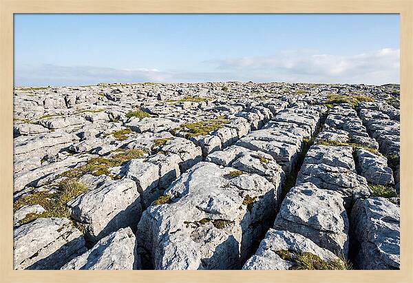 Limestone Pavement Landscape