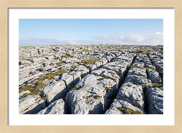 Limestone Pavement Landscape