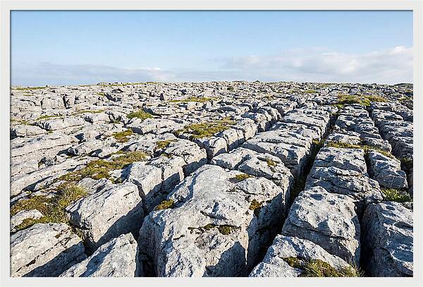Limestone Pavement Landscape