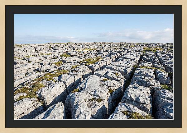 Limestone Pavement Landscape