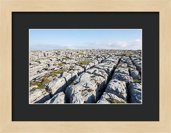 Limestone Pavement Landscape