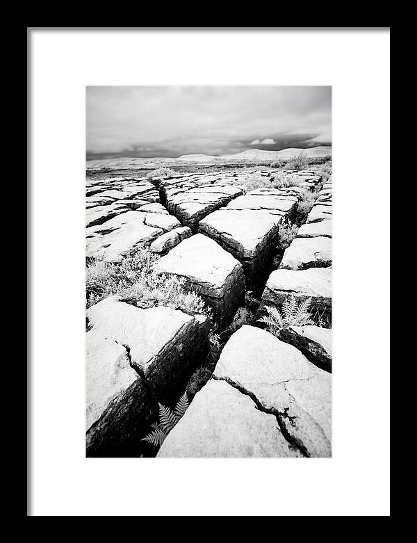 Limestone Serenity In Burren