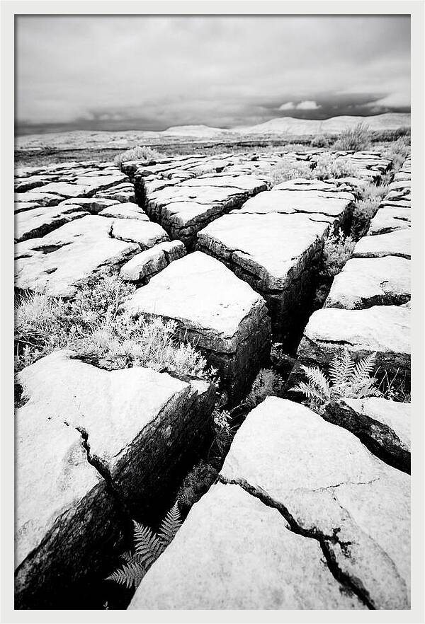 Limestone Serenity In Burren