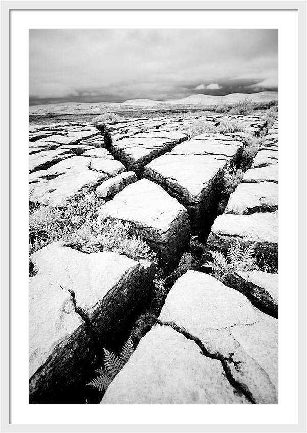 Limestone Serenity In Burren