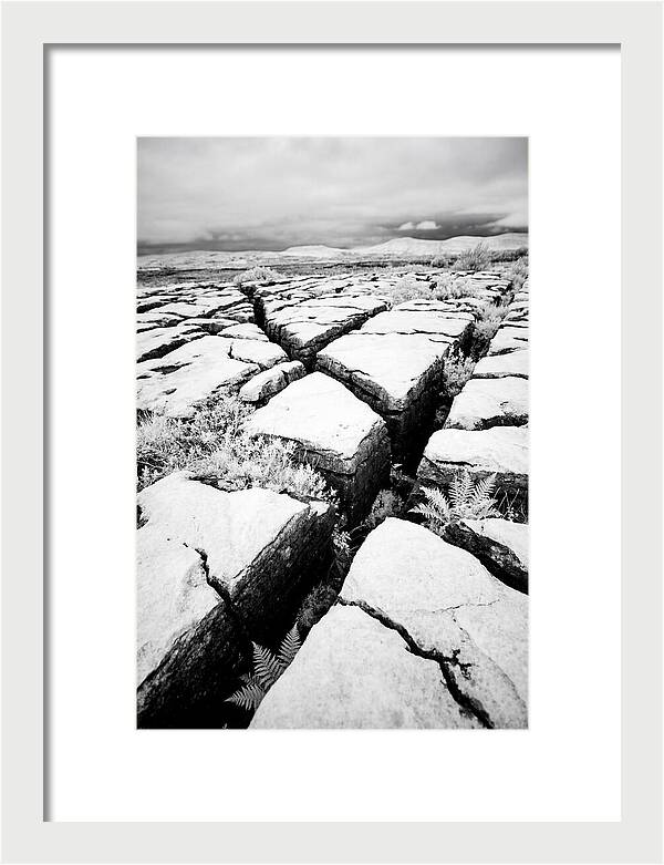 Limestone Serenity In Burren