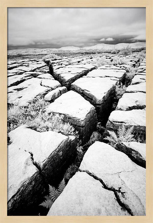 Limestone Serenity In Burren
