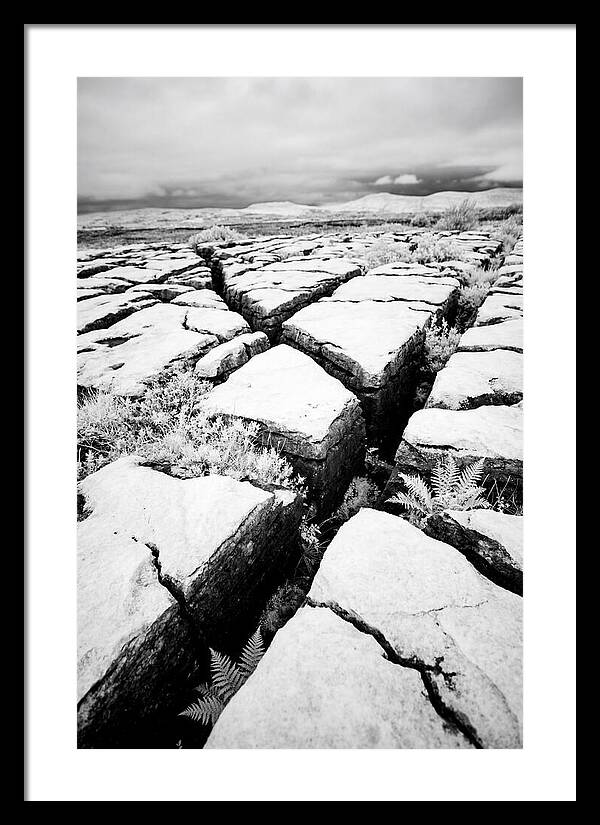 Limestone Serenity In Burren