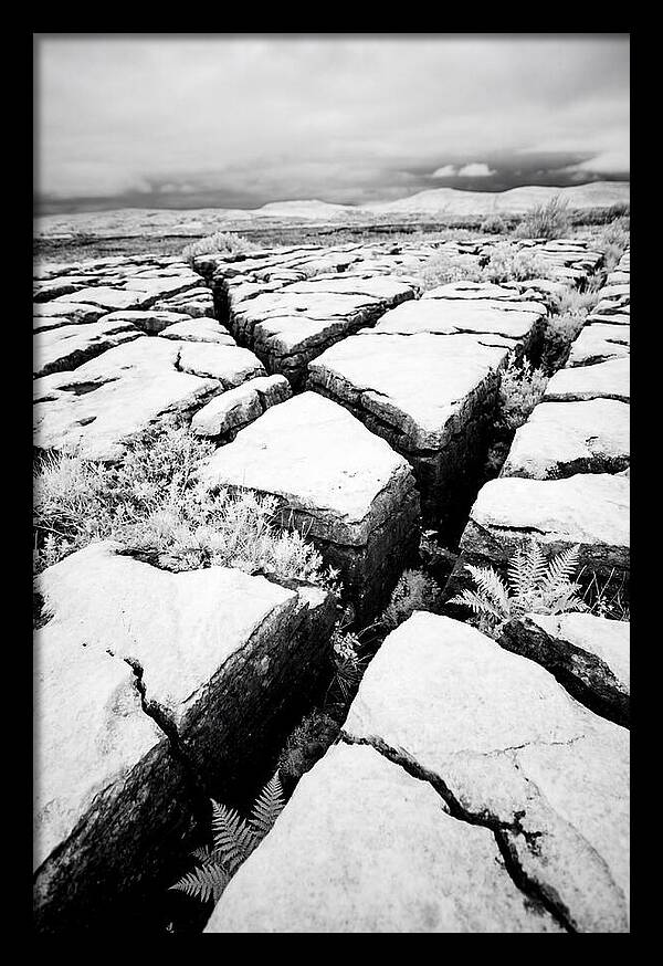 Limestone Serenity In Burren