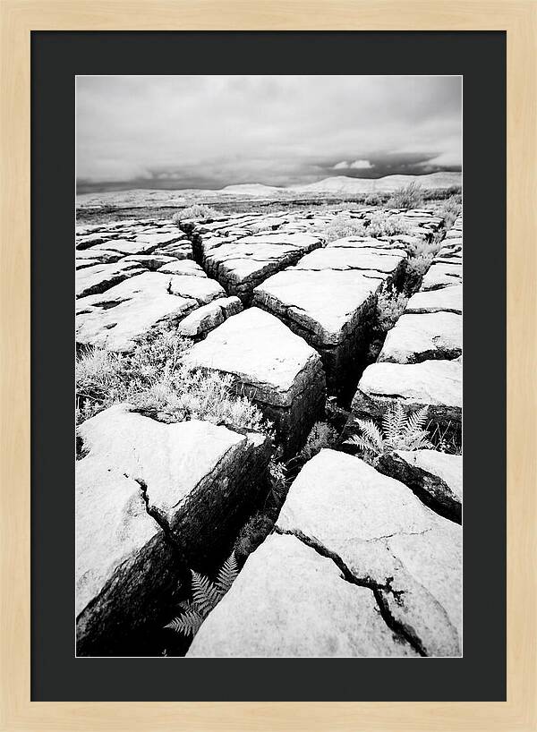Limestone Serenity In Burren