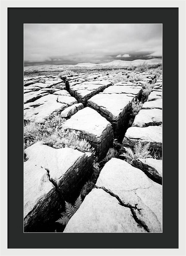 Limestone Serenity In Burren