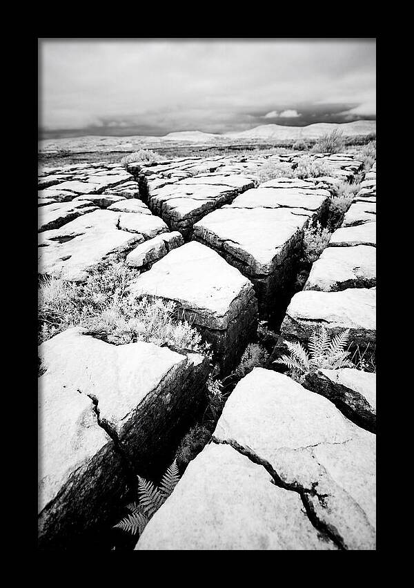 Limestone Serenity In Burren
