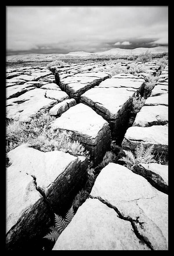 Limestone Serenity In Burren