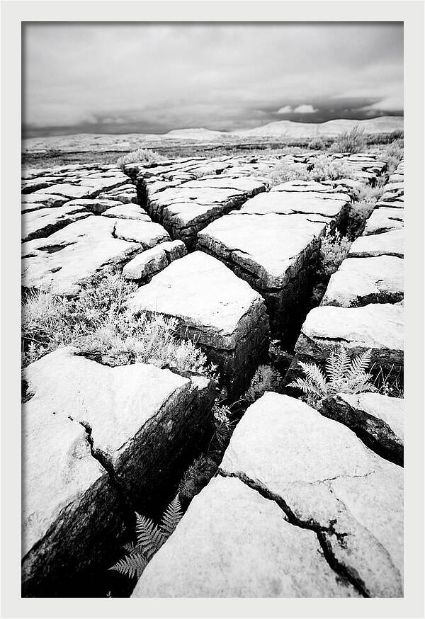Limestone Serenity In Burren
