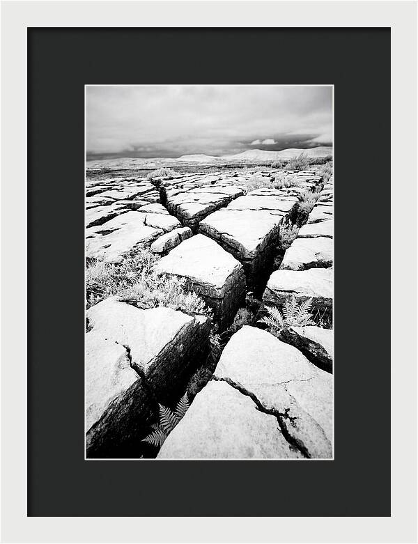 Limestone Serenity In Burren