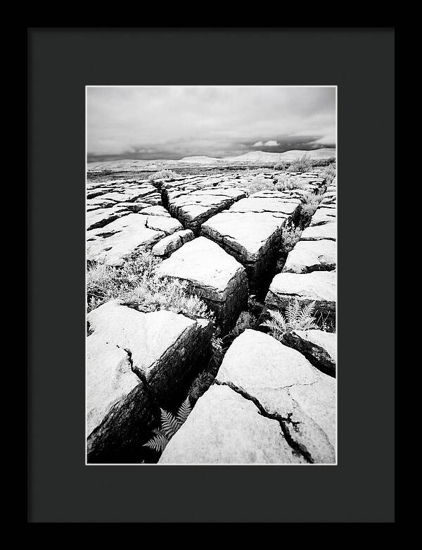 Limestone Serenity In Burren