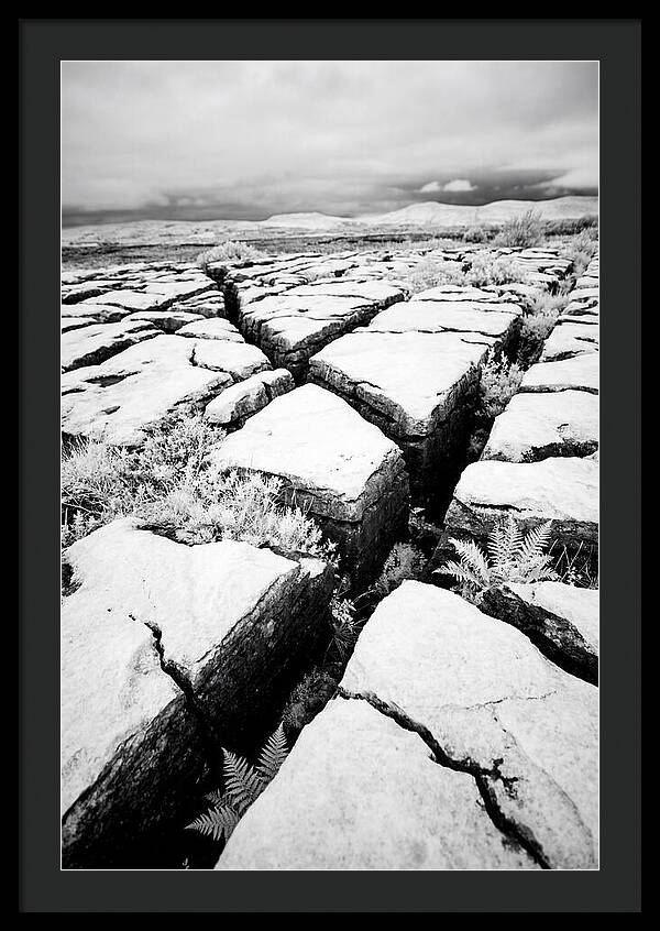 Limestone Serenity In Burren
