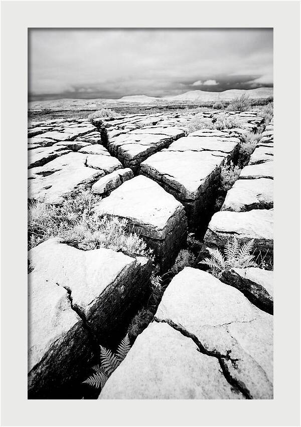 Limestone Serenity In Burren