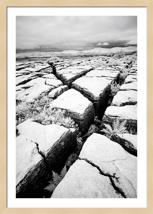 Limestone Serenity In Burren
