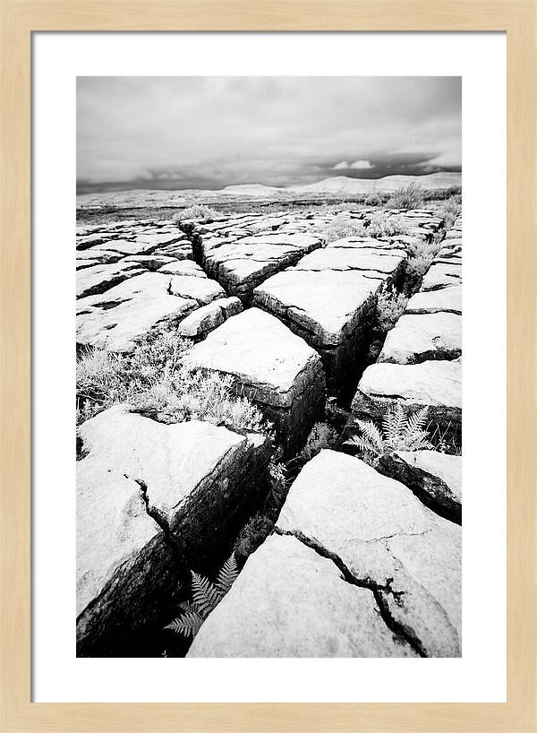 Limestone Serenity In Burren