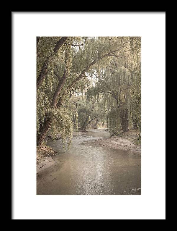 Lined With Weeping Willows