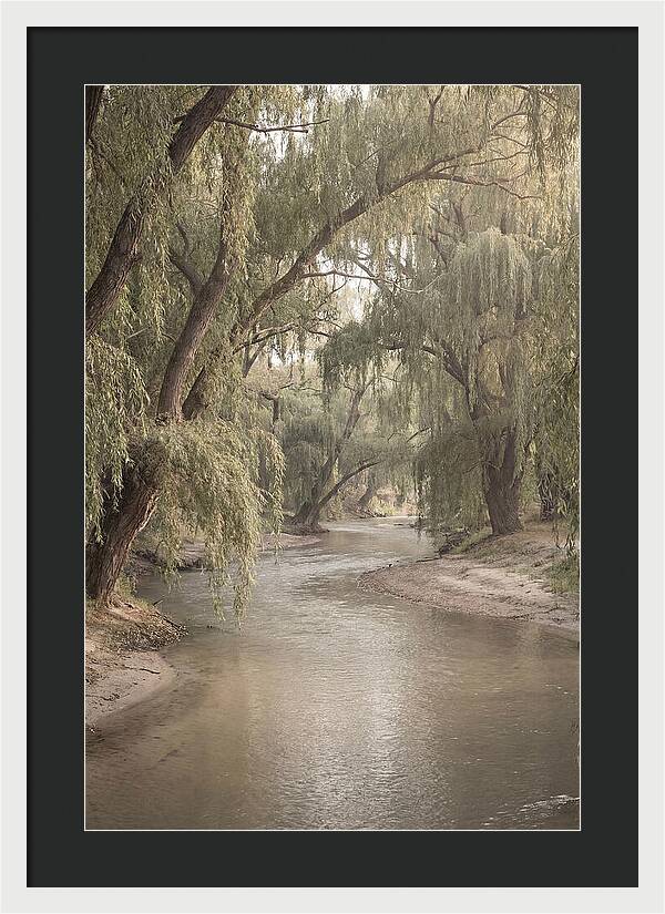 Lined With Weeping Willows