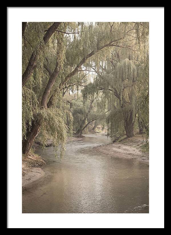 Lined With Weeping Willows