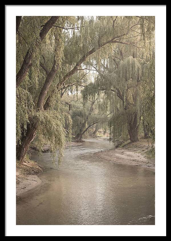Lined With Weeping Willows