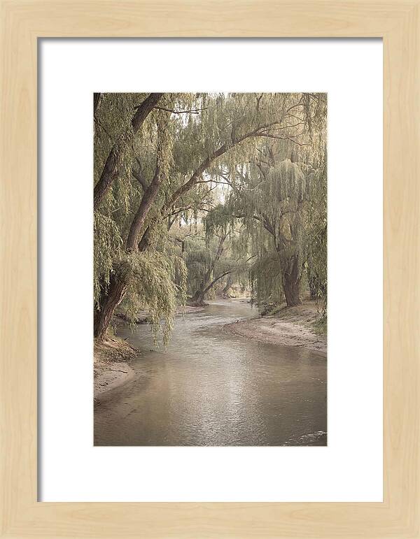 Lined With Weeping Willows