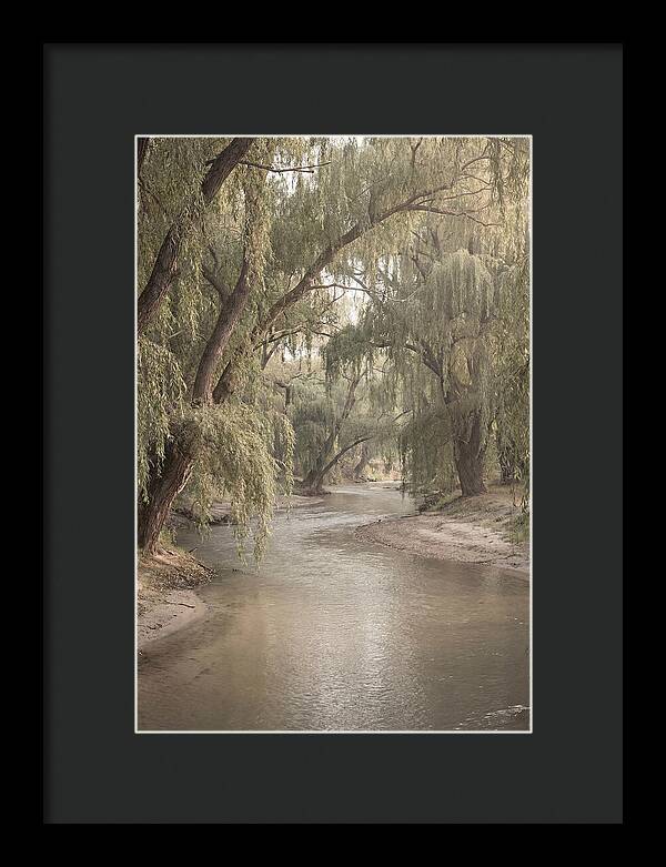 Lined With Weeping Willows