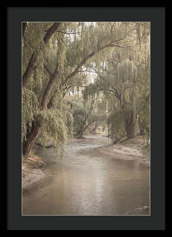 Lined With Weeping Willows
