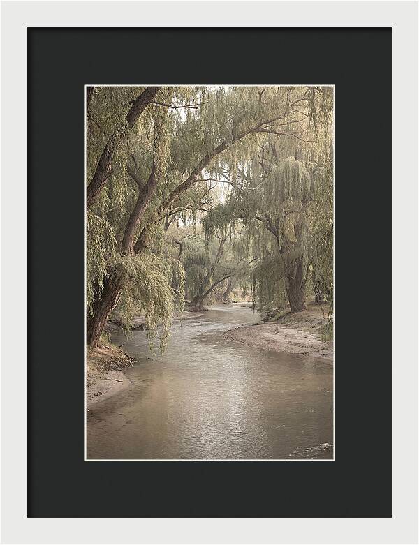 Lined With Weeping Willows