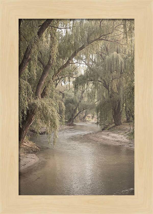 Lined With Weeping Willows