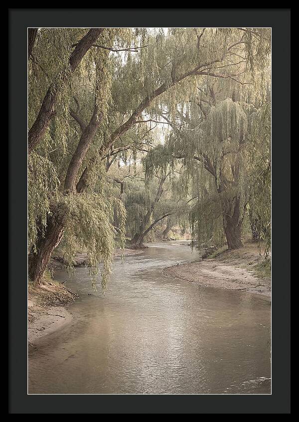 Lined With Weeping Willows
