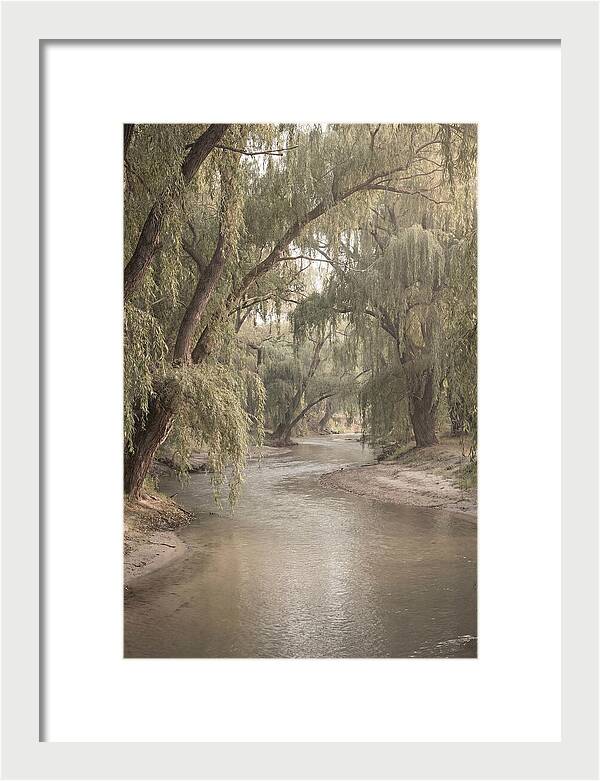 Lined With Weeping Willows