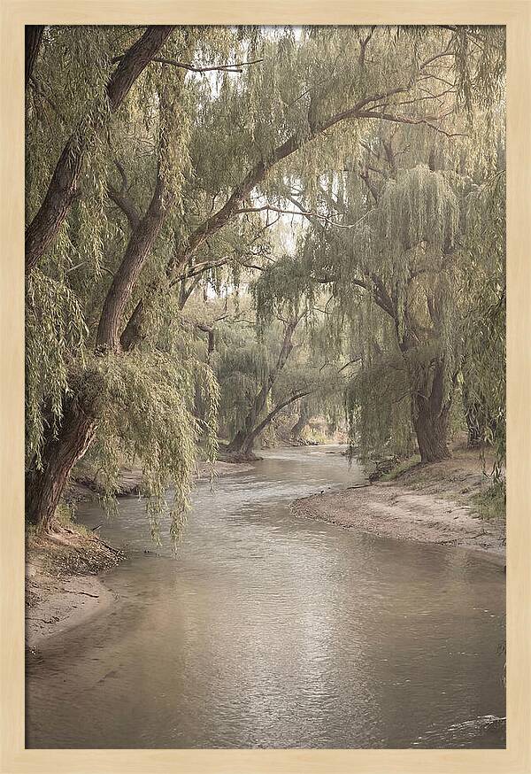 Lined With Weeping Willows