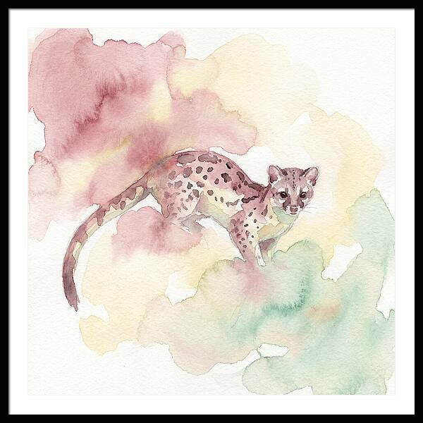 Linsang Among Soft Hues