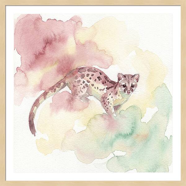Linsang Among Soft Hues