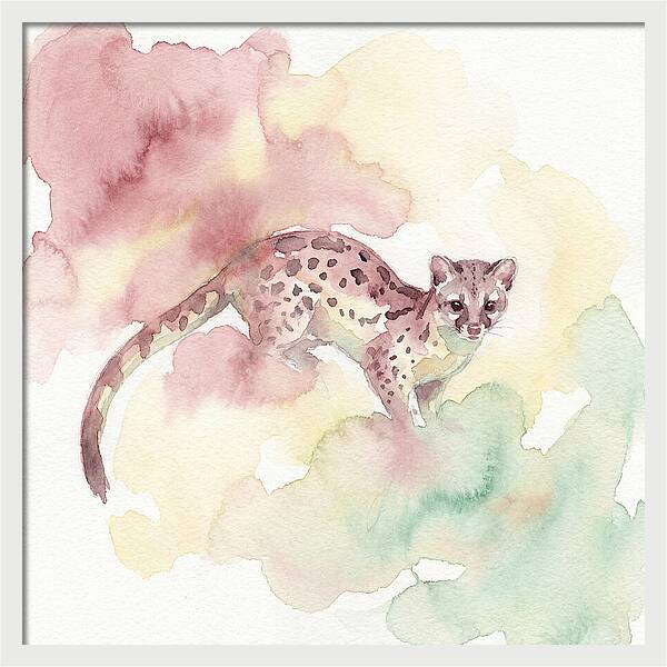 Linsang Among Soft Hues