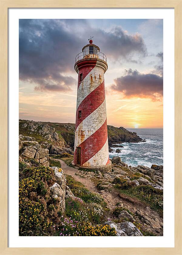 Liston Range Rear Light