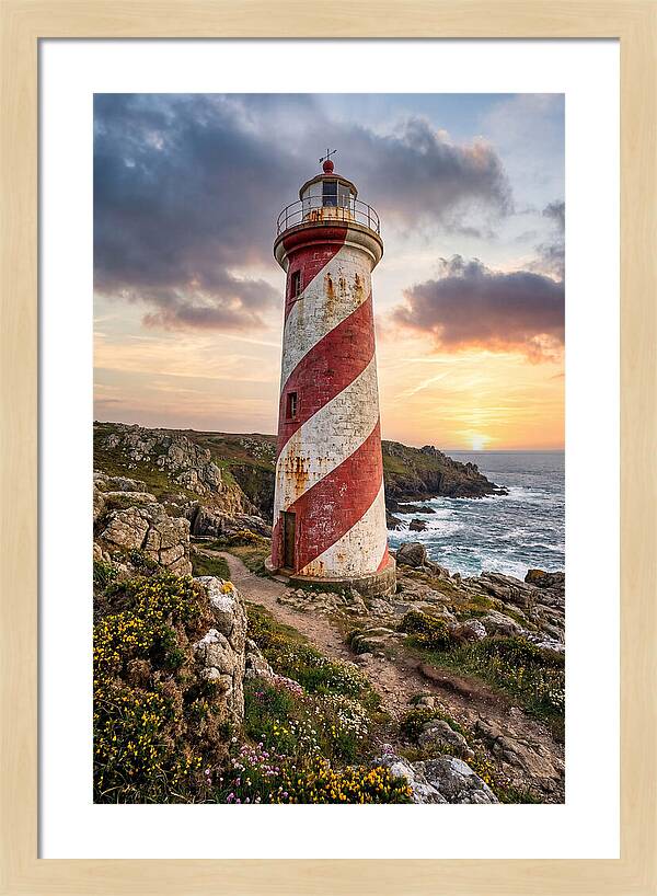 Liston Range Rear Light